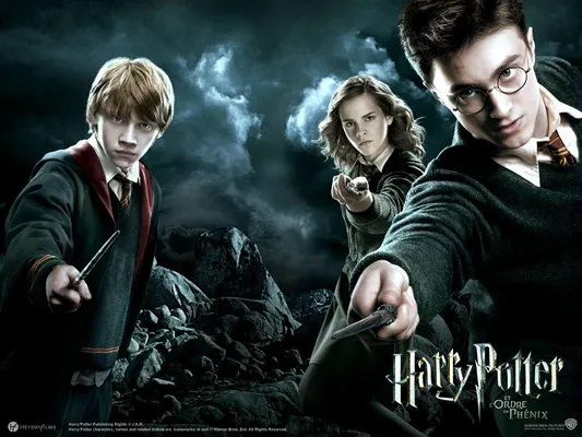 If you got a letter from Hogwarts would you go? If you got a letter from Hogwarts would you go?