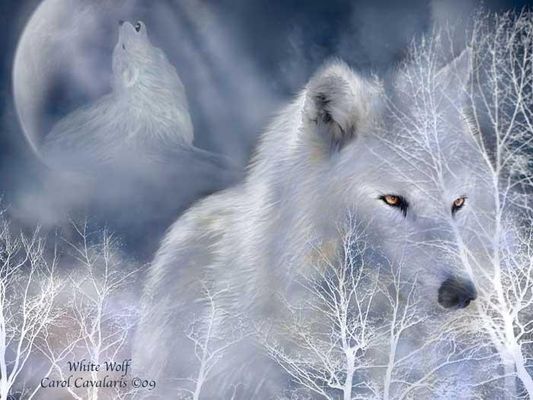 Favorite Animal? just wondering. Well,I know XXxSilentHopexXXs is penguins, IceCats is cats, and mine r wolves what is ur favorite animal? Favorite Animal? just wondering. Well,I know XXxSilentHopexXXs is penguins, IceCats is cats, and mine r wolves what is ur favorite animal?