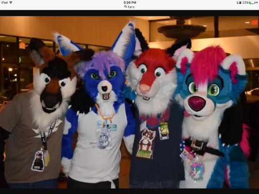 What are your thoughts on furries? I personally am ok with furries, the style is cool and it's pretty awesome. What about you? What are your thoughts on furries? I personally am ok with furries, the style is cool and it's pretty awesome. What about you?