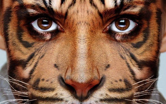 What if You Became Your Favorite Animal? What if you became your favorite animal? What would you be? What would you be? How'd you surive? What if You Became Your Favorite Animal? What if you became your favorite animal? What would you be? What would you be? How'd you surive?
