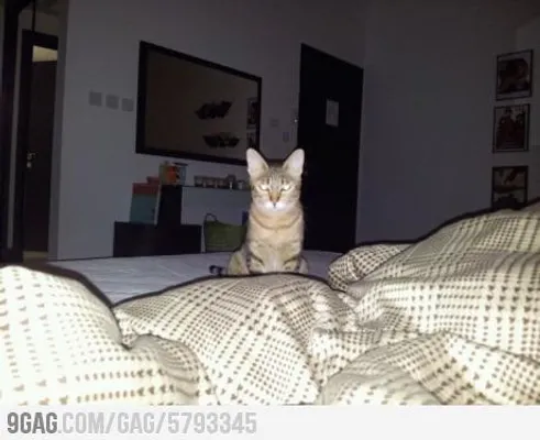 what would U do i u woke up and saw this? what would U do i u woke up and saw this?