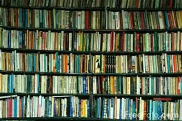 What Is Your Favorite Book? (2) What Is Your Favorite Book? (2)