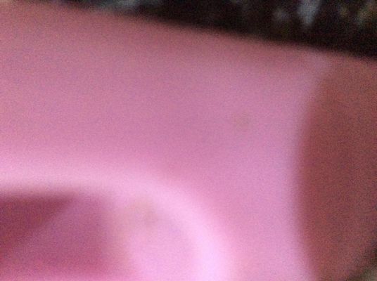 Is pink in the rainbow? I think so. (I'm a chihuahua. I'm not colorblind like most dogs.) Is pink in the rainbow? I think so. (I'm a chihuahua. I'm not colorblind like most dogs.)