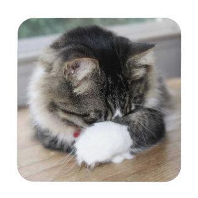 Hi! I'm new! Is there anything important I should know? Hi! I'm new! Is there anything important I should know?