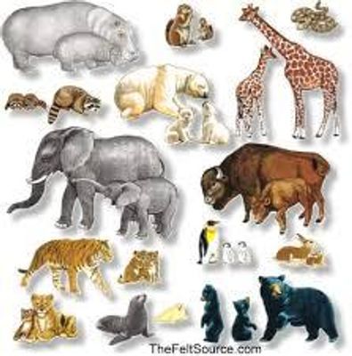 What animal do you think you are? I want to see of what people think of themselves as animals! Also can you please comment below on what animal you think I am because I don't know what animal I am! What animal do you think you are? I want to see of what people think of themselves as animals! Also can you please comment below on what animal you think I am because I don't know what animal I am!