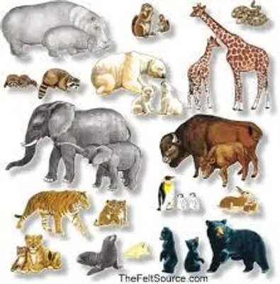 What animal do you think you are? I want to see of what people think of themselves as animals! Also can you please comment below on what animal you think I am because I don't know what animal I am! What animal do you think you are? I want to see of what people think of themselves as animals! Also can you please comment below on what animal you think I am because I don't know what animal I am!