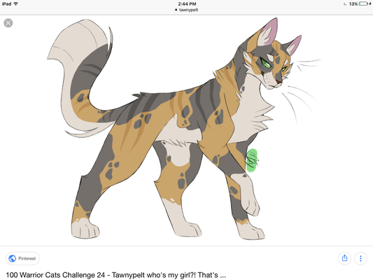 What are your favorite warriors characters? Mine are longtail, crowfeather, yellowfang, and dust pelt.( also Redtail, hence the name) What are your favorite warriors characters? Mine are longtail, crowfeather, yellowfang, and dust pelt.( also Redtail, hence the name)