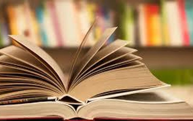 How much do you like books? If you read books, how much do you like them? How much do you like books? If you read books, how much do you like them?