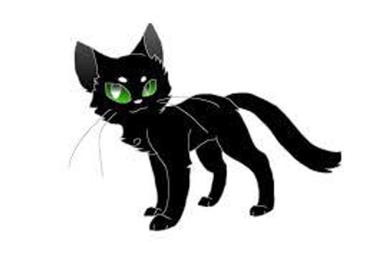 In the book where Hollyleaf died do you think she should stay alive or stay dead? I would rather have her alive she is my fave warrior cat & I would never want her dead but I need your opinions if you want her dead or alive? In the book where Hollyleaf died do you think she should stay alive or stay dead? I would rather have her alive she is my fave warrior cat & I would never want her dead but I need your opinions if you want her dead or alive?