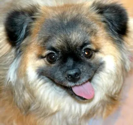 Do you like my new profile picture? I hope you like my new profile picture! Do you like my new profile picture? I hope you like my new profile picture!