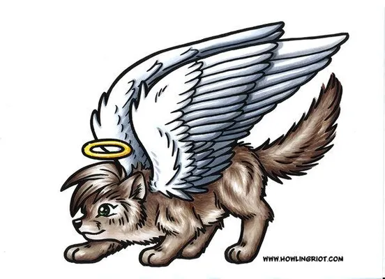 What is your favorite type of dog? Mine is and austrailian shepard post pictures of your favorite and follow thank you! What is your favorite type of dog? Mine is and austrailian shepard post pictures of your favorite and follow thank you!
