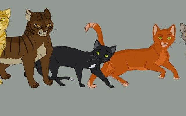 If you could be any Warrior Cat, who would it be? For Warrior Fans, so what Warrior would you be? I don't think I can pick, this will be tough... If you could be any Warrior Cat, who would it be? For Warrior Fans, so what Warrior would you be? I don't think I can pick, this will be tough...