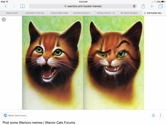 Doing a warriors fanfic and I need names I already have: Frostpool Spiderstone Firestorm Cedarclaw Rowanbranch Roaringbrook Ashfeather Eagleclaw And ferntail Doing a warriors fanfic and I need names I already have: Frostpool Spiderstone Firestorm Cedarclaw Rowanbranch Roaringbrook Ashfeather Eagleclaw And ferntail