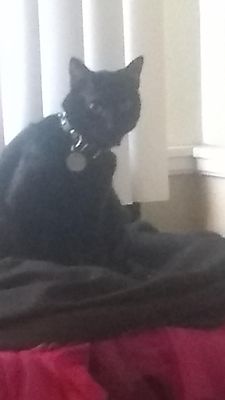 My neighbors are a bunch of psycho hippies What do I do? T^T My neighbors are a bunch of psycho hippies What do I do? T^T
