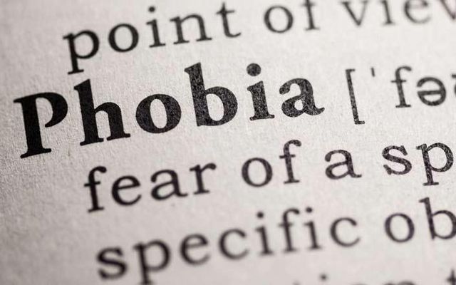 What is your phobia? (If you have one!) Do you have a phobia? In case there's any dummies out there, a phobia is something you simply can't stand. You have a irrational fear of it. What is your phobia about and how badly does it affect you? What is your phobia? (If you have one!) Do you have a phobia? In case there's any dummies out there, a phobia is something you simply can't stand. You have a irrational fear of it. What is your phobia about and how badly does it affect you?