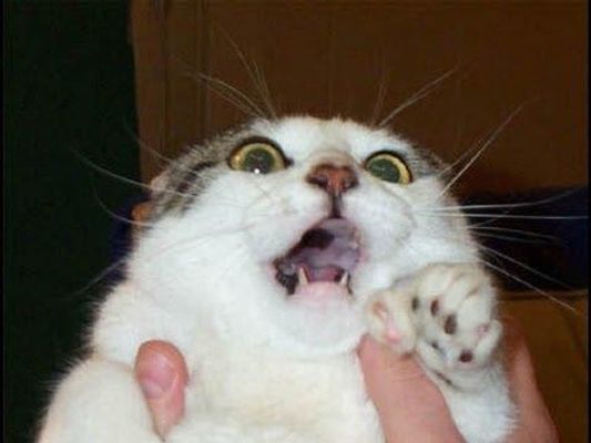 HELP ME i am so scared! Ok so i heard from my brother a few minutes ago that there is bomb threats in The area around me Rode Island. I am flipping out because i already have crazy angsiety attacks. this doesn't help so please HELP me what do i DO? HELP ME i am so scared! Ok so i heard from my brother a few minutes ago that there is bomb threats in The area around me Rode Island. I am flipping out because i already have crazy angsiety attacks. this doesn't help so please HELP me what do i DO?