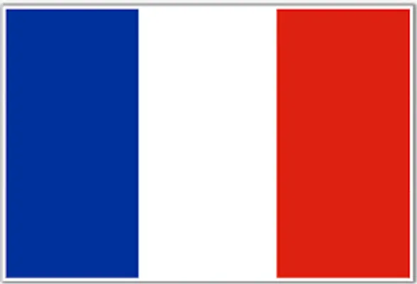 what should i say in french? is there anything you want me to say in french? if so leave in the comments