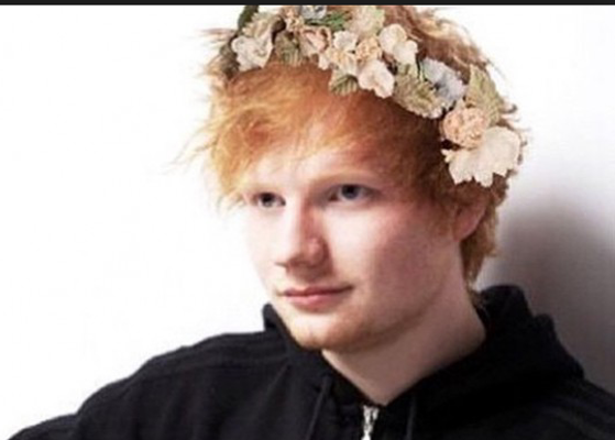 opinion on ed How do you feel about my princess aka ed sheeran , be honest opinion on ed How do you feel about my princess aka ed sheeran , be honest