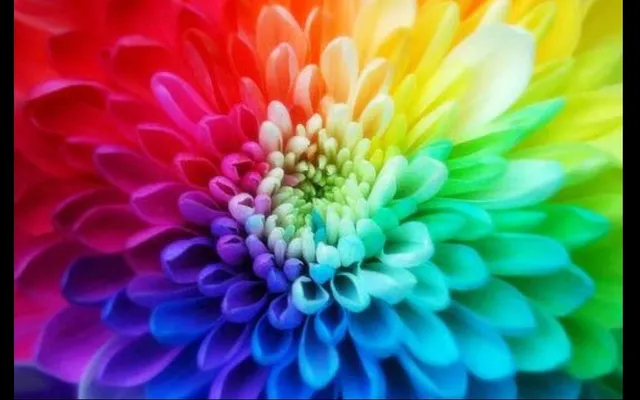Fav color? I like pink, purple, and yellow and light blue. :3 You pretty much know what I am talking about, so. Go ahead and answer the question! :D Fav color? I like pink, purple, and yellow and light blue. :3 You pretty much know what I am talking about, so. Go ahead and answer the question! :D