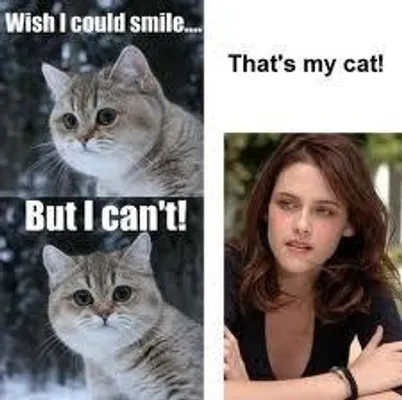 Who likes Kristen Stewart, the Actress (Bella of Twilight) Twilight, SnowWhite and the Huntsman, etc ... I don't like her. She never has any facial expression even though her character, Bella, in Twilight is supposed to not have a poker face at all! Who likes Kristen Stewart, the Actress (Bella of Twilight) Twilight, SnowWhite and the Huntsman, etc ... I don't like her. She never has any facial expression even though her character, Bella, in Twilight is supposed to not have a poker face at all!