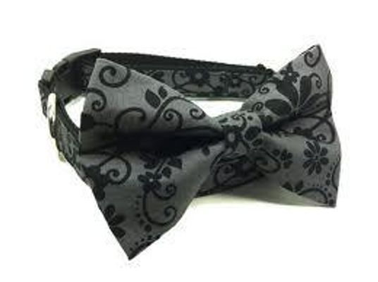 What kind of dog would suit this Bow Tie Collar? I don't know.... What kind of dog would suit this Bow Tie Collar? I don't know....