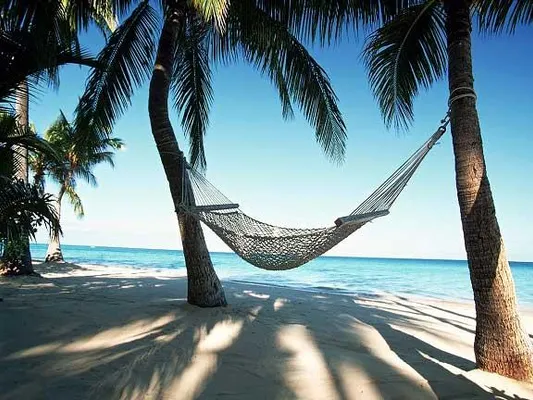 What do you think is the best vacation? Maybe, a cruise to France, a road trip across the country, a skiing trip.... What do you think is the best vacation? Maybe, a cruise to France, a road trip across the country, a skiing trip....