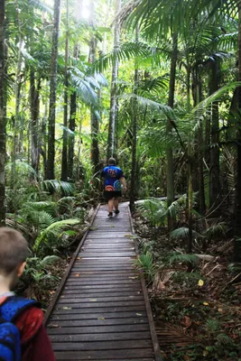Do you like nature? Do you like nature?