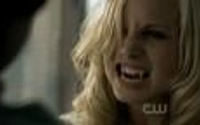 can vampires turn into bats? I'm wondering about that because I love vampires they rock! can vampires turn into bats? I'm wondering about that because I love vampires they rock!