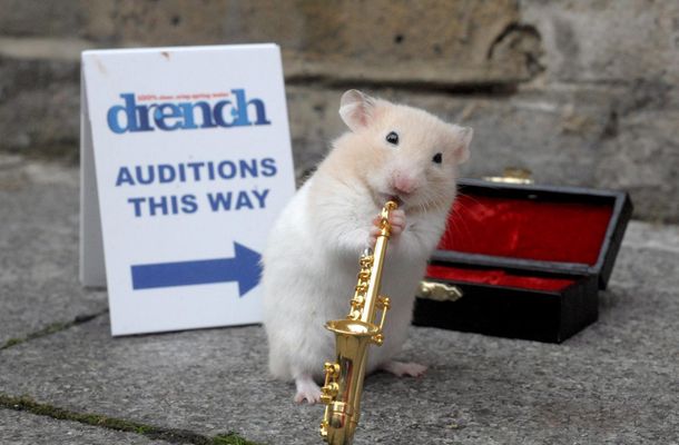 How do I get discovered for my singing and acting? I love singing and acting and are great at both, but truth is no one's ever really heard me sing properly. How to overcome my shyness and can I get discovered for my acting in drama at high school? How do I get discovered for my singing and acting? I love singing and acting and are great at both, but truth is no one's ever really heard me sing properly. How to overcome my shyness and can I get discovered for my acting in drama at high school?