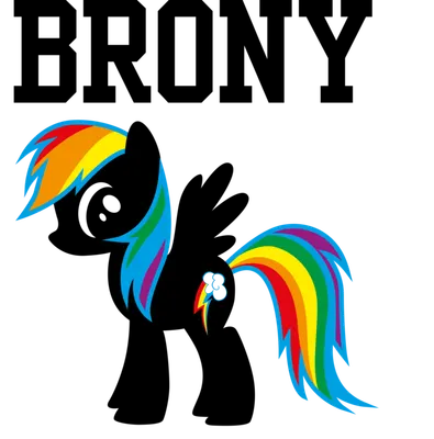 are you a brony? im wondering cuz im a girl and well i want to see how many boys like mlp cuz my friend sean was telling to to do this XD