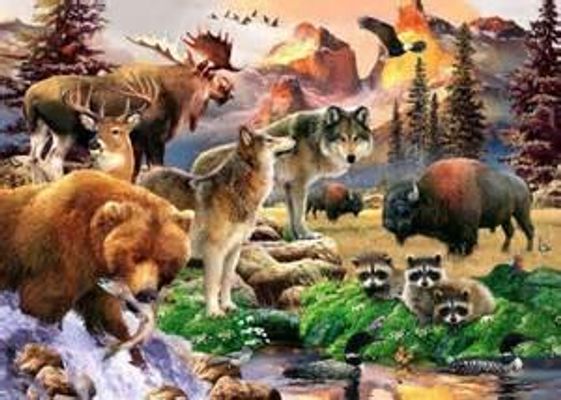 What animal do you want to be? If you could change into at animal, and live their life, which animal would you chose? All animals excepted, mythical, made up, and humans. Also know animals, so who would you pick? What animal do you want to be? If you could change into at animal, and live their life, which animal would you chose? All animals excepted, mythical, made up, and humans. Also know animals, so who would you pick?