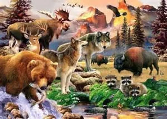 What animal do you want to be? If you could change into at animal, and live their life, which animal would you chose? All animals excepted, mythical, made up, and humans. Also know animals, so who would you pick? What animal do you want to be? If you could change into at animal, and live their life, which animal would you chose? All animals excepted, mythical, made up, and humans. Also know animals, so who would you pick?