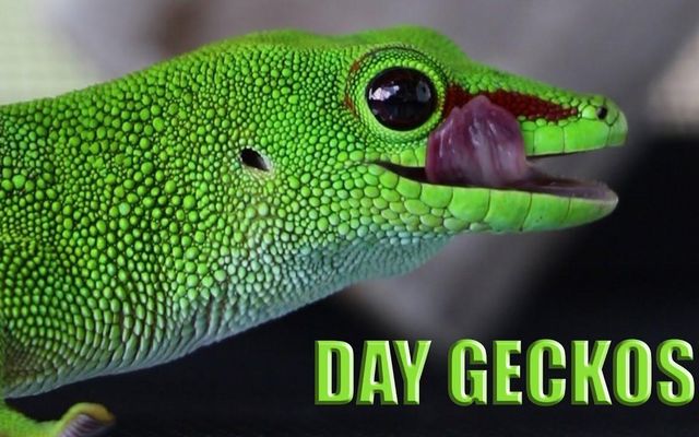 What is you.r average day like? What is you.r average day like?