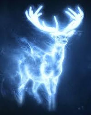 What's your Harry Potter patronous? I probably spelled it wrong but I don't care What's your Harry Potter patronous? I probably spelled it wrong but I don't care