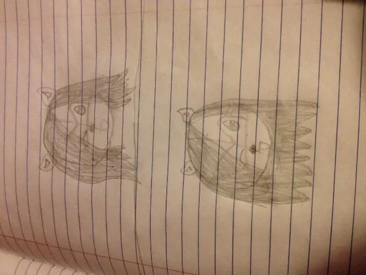 Which sonic OC face looks best? I drew them the top one is choice A and bottom B! Which sonic OC face looks best? I drew them the top one is choice A and bottom B!