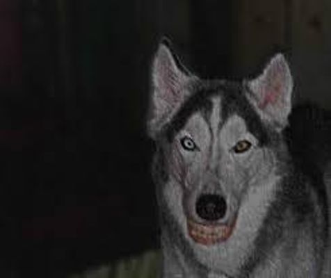 i gotta pic of smile dog and jeff aint in it cuz hes in my bed room ok so i just got this pic cuz jeff stole my bed room and im pissed off about that but this is smile dog i gotta pic of smile dog and jeff aint in it cuz hes in my bed room ok so i just got this pic cuz jeff stole my bed room and im pissed off about that but this is smile dog