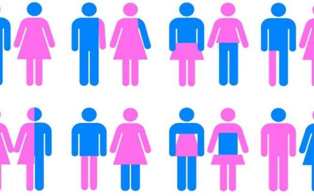 What's everyones gender/pronouns? Partly so I remember, partly cause I'm curious What's everyones gender/pronouns? Partly so I remember, partly cause I'm curious