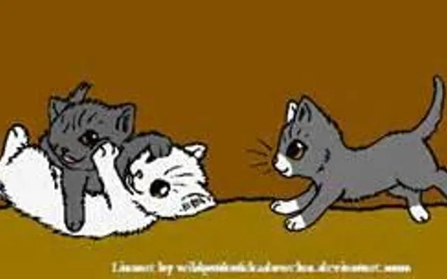 Why dont dewpaw amberpaw and snowpaw look like cloudtail? (warrior cats question) Ok I'm confused here...whitewing she just SCREAMS Cloudtail...and honestly when I saw Dewpaw,snowpaw and amberpaw I was like.."what the check? It's like Hollyleaf jayfeather and lionblaze all over again!" I mean amberpaw he kinda whispers "brightheart" he's kinda got her color but way off...I looked on the warrior cats Wikipedia and it said they are his and her official kids and I'm confused...only 2 look like the parents...it's just..that one Jackie Chan face for me...I need a explanation! Why dont dewpaw amberpaw and snowpaw look like cloudtail? (warrior cats question) Ok I'm confused here...whitewing she just SCREAMS Cloudtail...and honestly when I saw Dewpaw,snowpaw and amberpaw I was like.."what the check? It's like Hollyleaf jayfeather and lionblaze all over again!" I mean amberpaw he kinda whispers "brightheart" he's kinda got her color but way off...I looked on the warrior cats Wikipedia and it said they are his and her official kids and I'm confused...only 2 look like the parents...it's just..that one Jackie Chan face for me...I need a explanation!