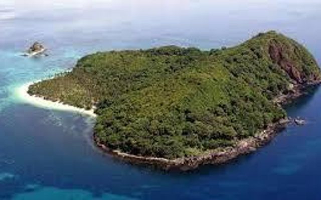What would you do if you were trapped on an island? What would you do if you were trapped on an island?