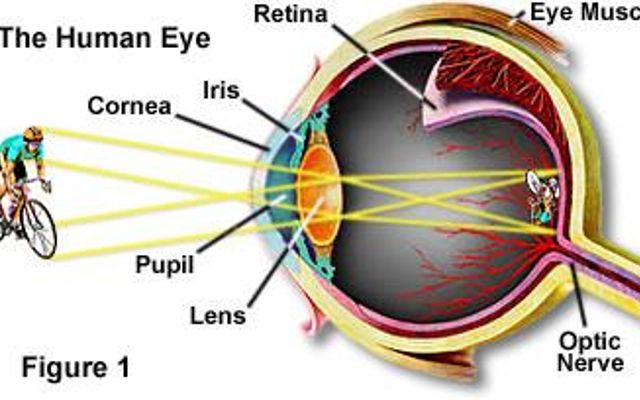 What is the resolution of the human eye in megapixels? What is the resolution of the human eye in megapixels?