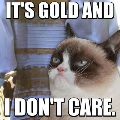 Why does everyone keep posting the blue and black dress everywhere? every where i look on lie theres that blue and black dress! what so special about it? Why does everyone keep posting the blue and black dress everywhere? every where i look on lie theres that blue and black dress! what so special about it?