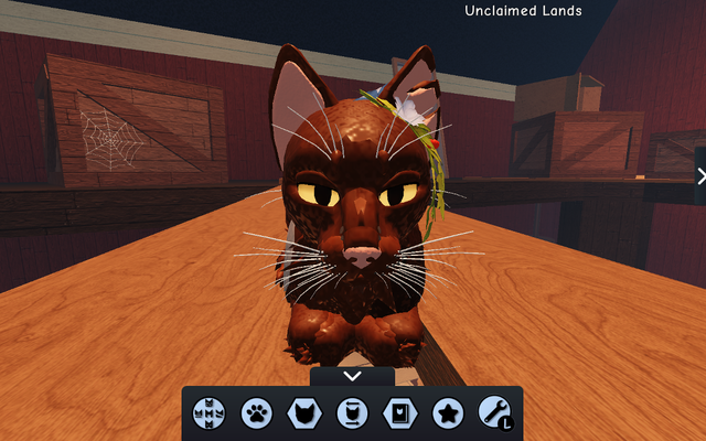 Any ideas for gut wrenching backstories for cats? So, me and my friend Twig have created cat characters who are siblings. We want to traumatize the two. I don't have any ideas Any ideas for gut wrenching backstories for cats? So, me and my friend Twig have created cat characters who are siblings. We want to traumatize the two. I don't have any ideas