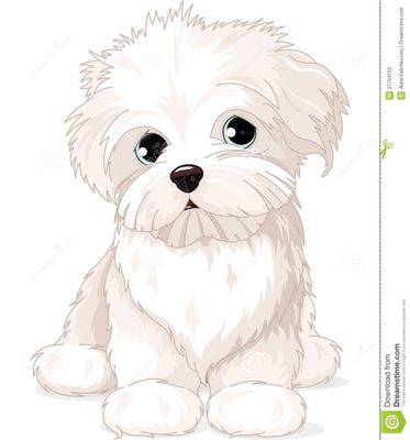 Can a maltese (pet) fight with stray? please tell me. i have a doubt cause ppl say it's fragile then can it survive dog attacks? Can a maltese (pet) fight with stray? please tell me. i have a doubt cause ppl say it's fragile then can it survive dog attacks?