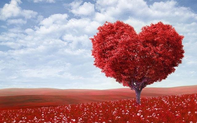 What are you gonna do for Valentines Day ? valentines day is tomorrow and i'm so exited :) What are you gonna do for Valentines Day ? valentines day is tomorrow and i'm so exited :)