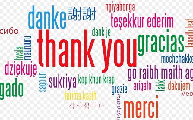 What are you thankful for? Me:I'm thankful for anime,video games,books,tablets,phones,netendo, Pokemon,my followers,music,glasses,wifi,school(sometimes),animals,food- ?:What about the people in your life? Me:Oh,what?Uh,yeah,yeah,whatever gets you up in the morning. (P.S:ITS NOT CHRISTMAS YET SO DONT YOU DARE HANG THOES LIGHTS OR CUT TREES DOWN! Thank you :) ) What are you thankful for? Me:I'm thankful for anime,video games,books,tablets,phones,netendo, Pokemon,my followers,music,glasses,wifi,school(sometimes),animals,food- ?:What about the people in your life? Me:Oh,what?Uh,yeah,yeah,whatever gets you up in the morning. (P.S:ITS NOT CHRISTMAS YET SO DONT YOU DARE HANG THOES LIGHTS OR CUT TREES DOWN! Thank you :) )
