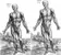 Basic Human Anatomy Quiz
