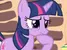 My Little Pony Fim Questions