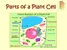 Simple Biology of Cells