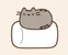 Pusheen Cat Quiz