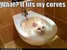 How Well Do You Know FoxLover1211 (ME)?